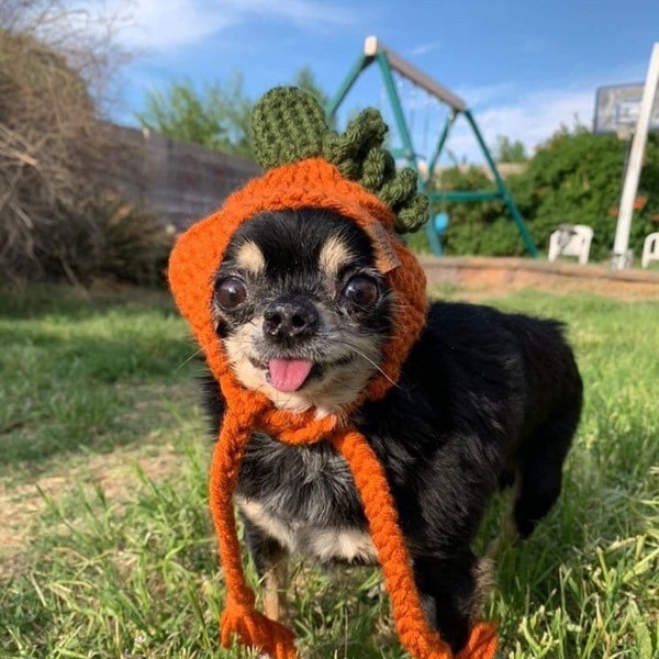 Pumpkin Pupper Beanie - Dog Hat - Dog Beanie - Cat Hats - Kitty Beanie - Halloween Beanie - Halloween Dog Hat - Pet Fashion - Corgi