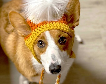 Czapka z kukurydzy cukrowej Puppy Beanie - Czapka Puppy Beanie - Czapka dla psa - Czapki dla kota - Czapka dla kota - Czapka na Halloween - Czapka dla zwierzaka szydełkowana - Moda dla zwierząt - Corgi