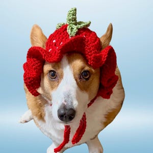 Bonnet seau fraise au crochet pour animal de compagnie - Bonnet seau fraise - Chapeaux pour chien au crochet - Chapeaux bob fraise - Bonnets au crochet