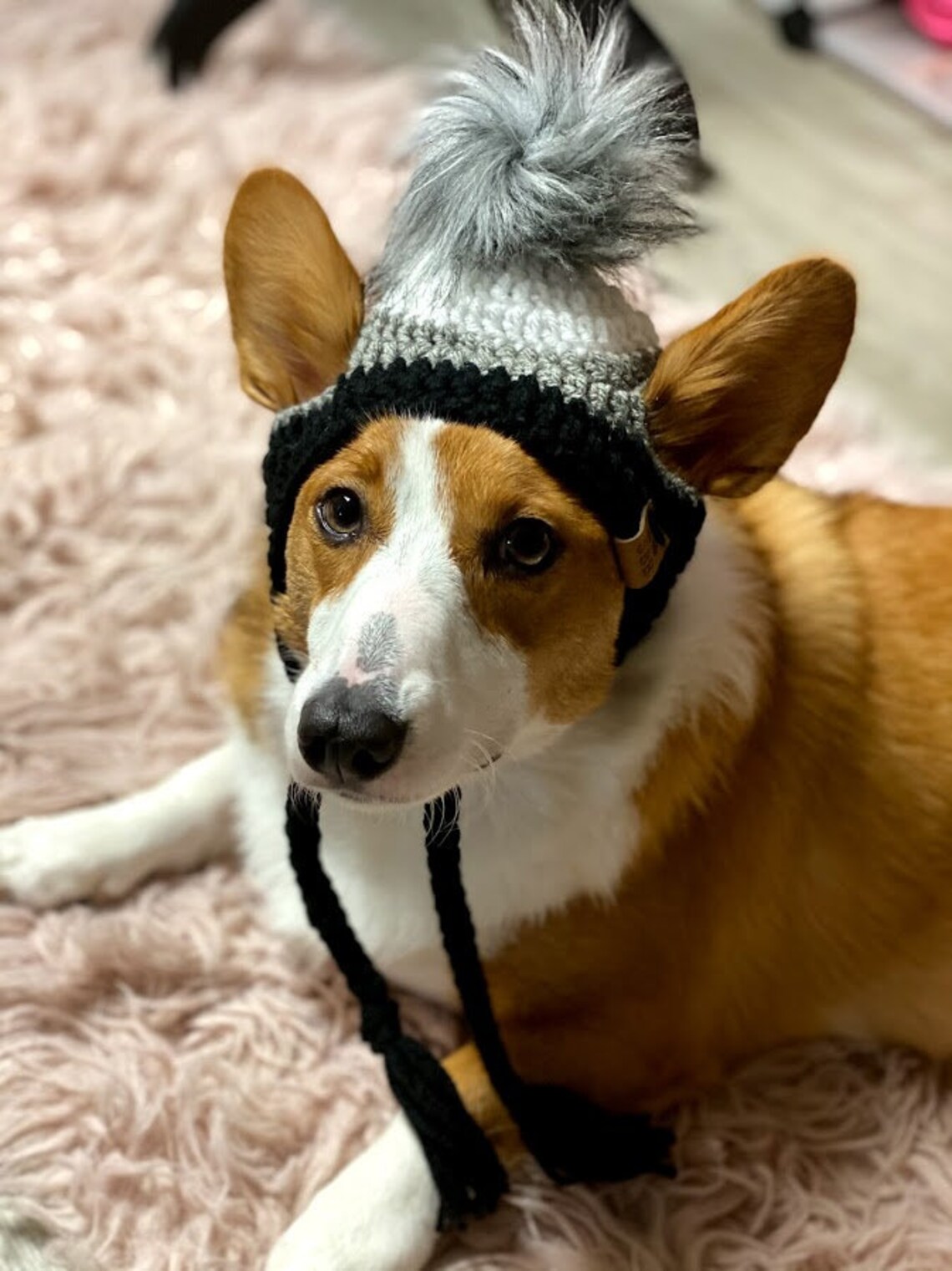 Dog Beanie Kitty Beanies Pupper Beanies Pet Beanies Etsy