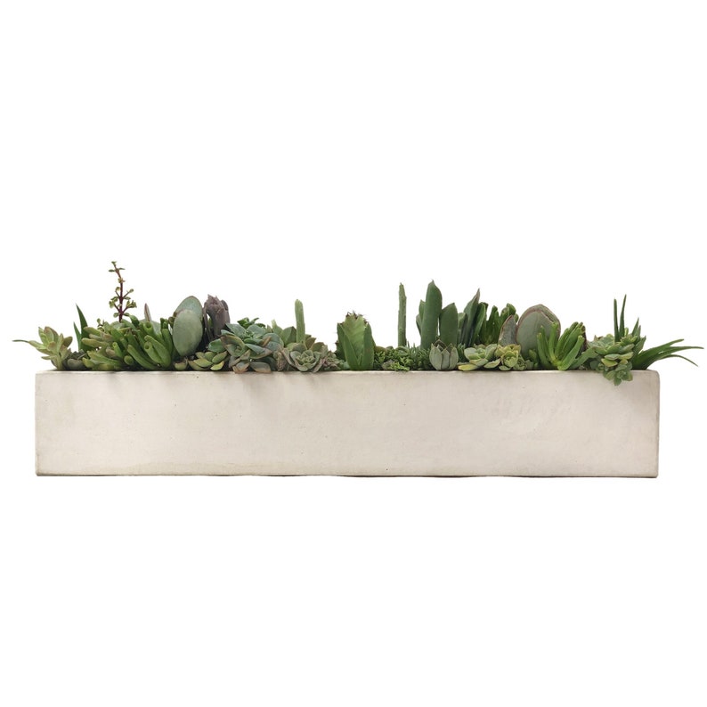 12 24 Rectangular Concrete Planters / Concrete Succulent Centerpiece / Concrete Windowsill Planter / Concrete Container Garden Planter image 3