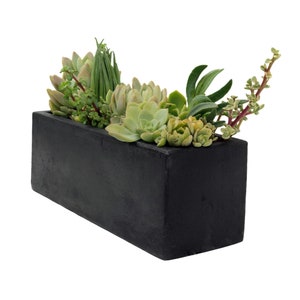 12 24 Rectangular Concrete Planters / Concrete Succulent Centerpiece / Concrete Windowsill Planter / Concrete Container Garden Planter image 4