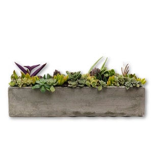 12 24 Rectangular Concrete Planters / Concrete Succulent Centerpiece / Concrete Windowsill Planter / Concrete Container Garden Planter image 2