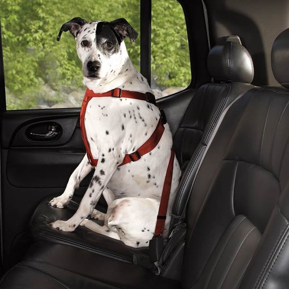 HDP Car Harness Dog Safety Seat Belt Gear Travel System  Color:Black : Pet Automotive Harnesses : Pet Supplies