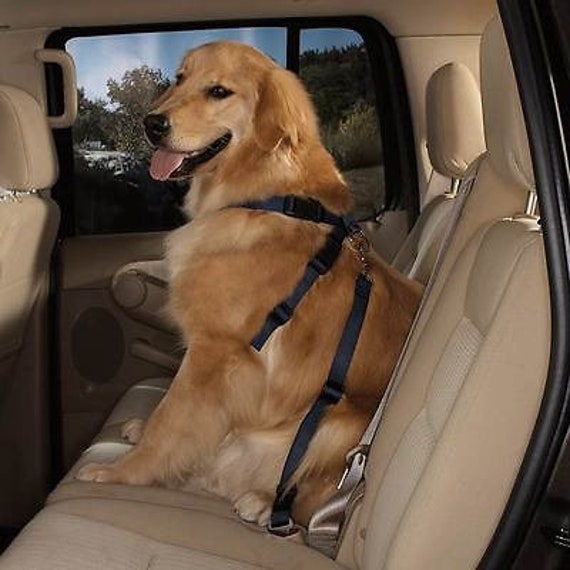 Sistema de viaje coche arnés perro seguridad cinturón de seguridad HDP ,  Rosado