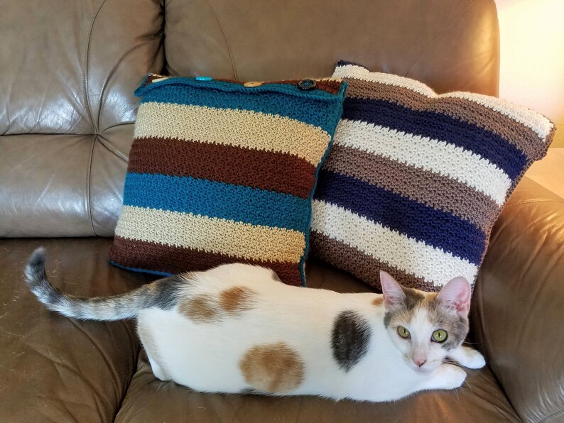 16x16 pillow crochet Father/'s Day Shrinking Stripes Pop/'s Pillow Birthday Gift