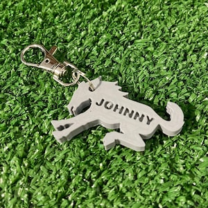 Gepersonaliseerde Ford Bronco-badge-sleutelhanger / Calling all Bronco en Bronco Sport Owners & Lovers / 20 kleuren / 2" sleutelhanger / BuckBuckBronco