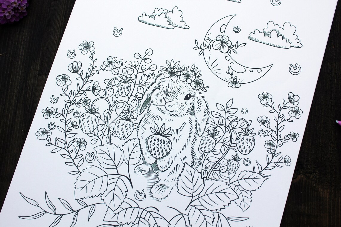 Strawberry Bunny Coloring Page Digital Download Adult - Etsy UK
