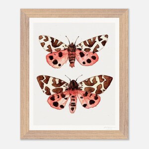 Garden Tiger Moths - Aquarell - Kunstdruck - Archivpapier in Museumsqualität - 8 "x 10"