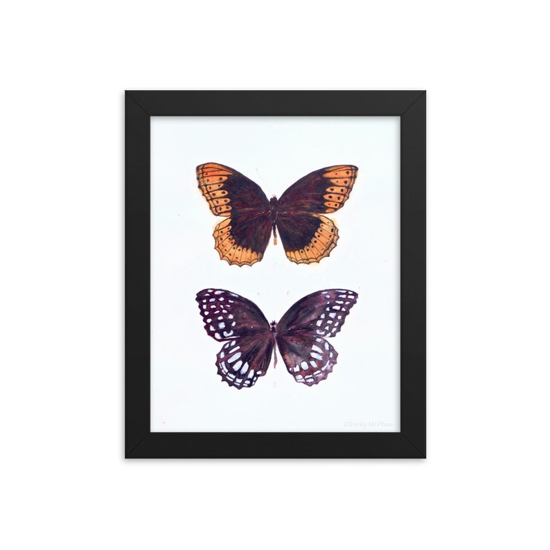 Framed Art Print Love Male /& Female Diana Butterflies Couple Lepidoptera Pair Watercolour Giclee Print Decor Wall Art