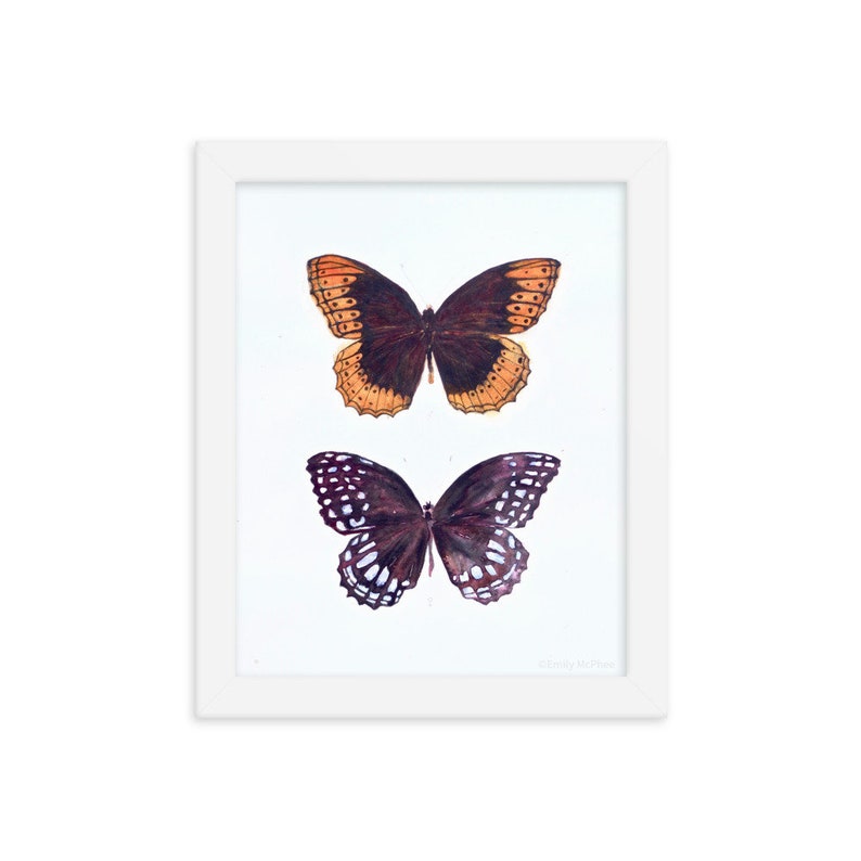 Framed Art Print Love Male /& Female Diana Butterflies Couple Lepidoptera Pair Watercolour Giclee Print Decor Wall Art