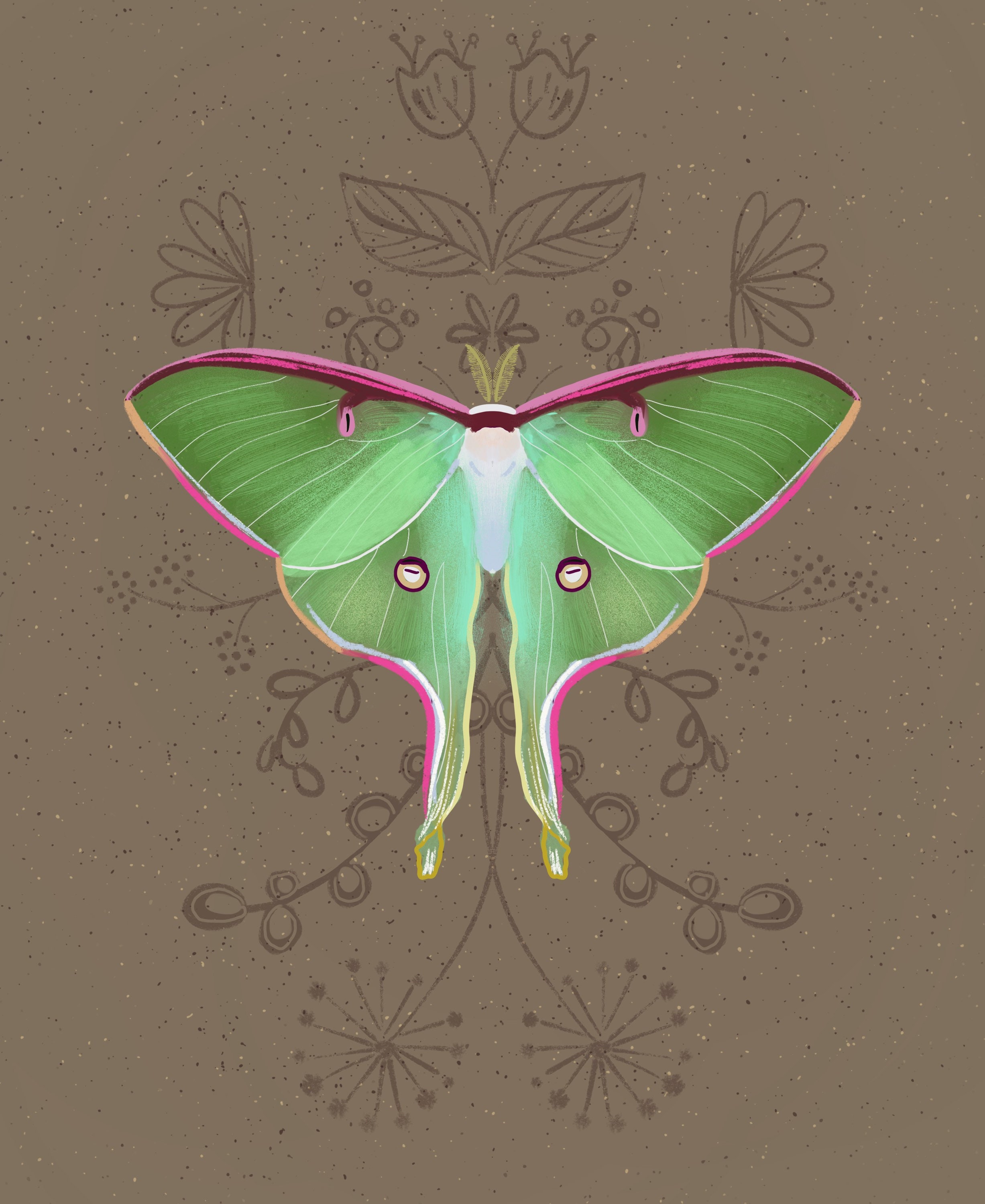 Luna Moth Print | Insect Art | Wildlife Art | Animal Painting - Etsy Canada
