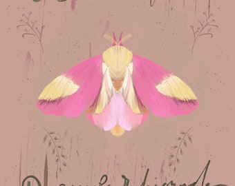 Rosy Maple Moth | Animal art | Insect art | Nursery | Gift | Print