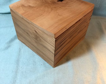 Cremation Urn (pet or human)
