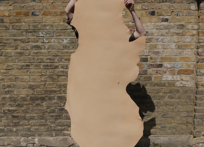 May include: A large, light brown leather hide with a slightly irregular shape. The hide is held up in front of a brick wall.