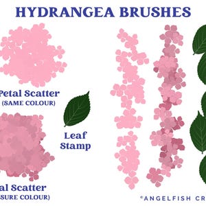 Hydrangea Brush Set for Procreate - Floral Scatter & Leaf Stamp ...