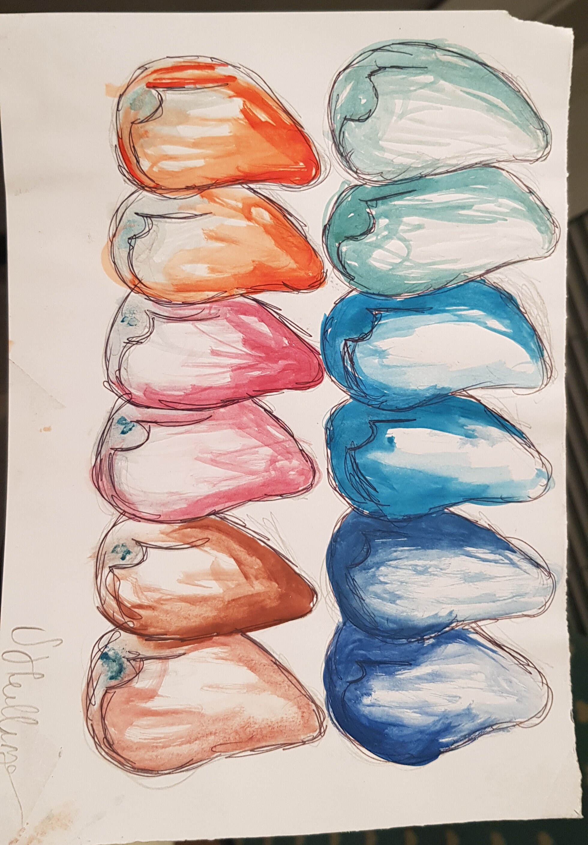 Shells in Colour - Etsy