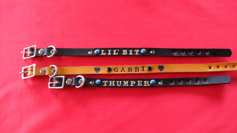 Cat or Ferret Collar with Name and 2 stamps Custom lengths /& Colors. DC6 PERSONALIZE LEATHER Dog