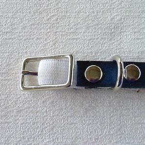 May include: A close-up of a blue leather dog collar with a silver buckle and a silver D-ring. The collar has two silver studs on either side of the D-ring.