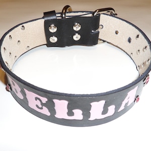 DC27  SPIKED 2&quot; wide Leather Dog Collar made in USA