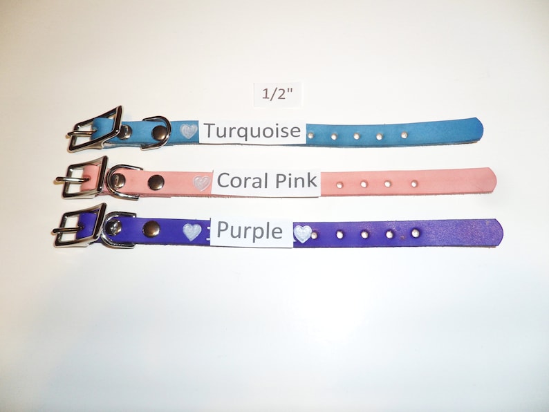 Cat or Ferret Collar with Name and 2 stamps Custom lengths /& Colors. DC6 PERSONALIZE LEATHER Dog