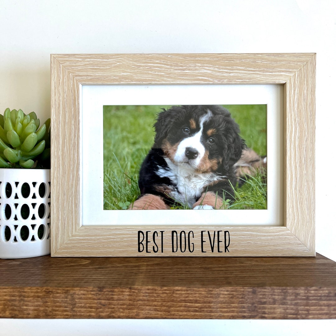 Best Dog Ever Picture Frame Dog Picture Frame Dog Picture Frame best-dog-ever-picture-frame-dog-picture-frame-dog-picture-frame