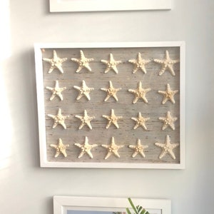 Puede incluir: Una pared blanca con tres cuadros enmarcados. La imagen superior es una fotografía azul y blanca de dos ventanas. La imagen del medio es una colección de estrellas de mar enmarcadas. La imagen inferior es una fotografía de un edificio blanco con un arbusto de flores rosas en frente.