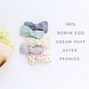 May include: Five different colored hair bows with names written below them. The bows are in the following order from top to bottom: Iris, Robin Egg, Cream Puff, Aster, Peonies.