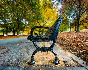 Otoño en Piedmont Park