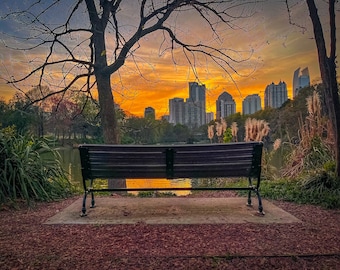 Atardecer en el parque
