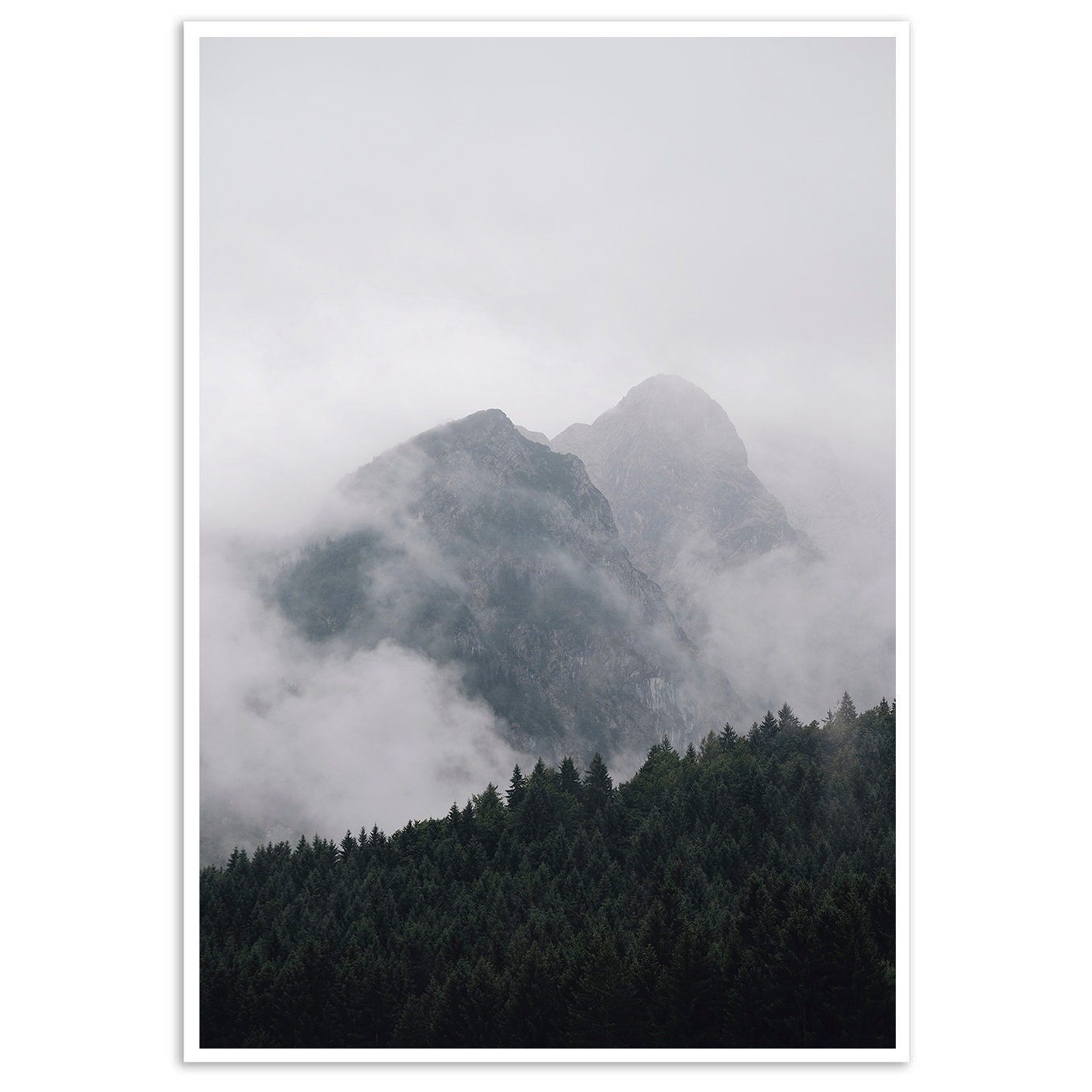 Set Of Two Botanical Art Prints Botanical Print Set Set Of | Etsy