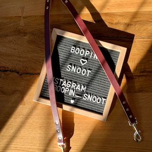 Leather Dual Leash Attachment