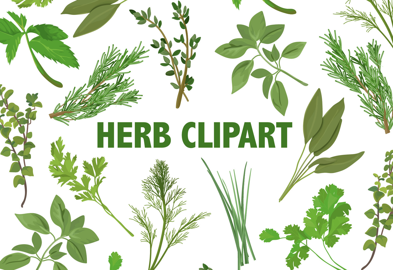 HERBS CLIPART culinary icons Etsy