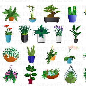 Puede incluir: Una colecci&oacute;n de varias plantas en macetas, incluyendo aloe vera, helechos, cactus y plantas con flores. Las plantas est&aacute;n en macetas de diferentes formas, tama&ntilde;os y colores, como terracota, azul y negro. La imagen tiene el texto "MINE EYES DESIGN".