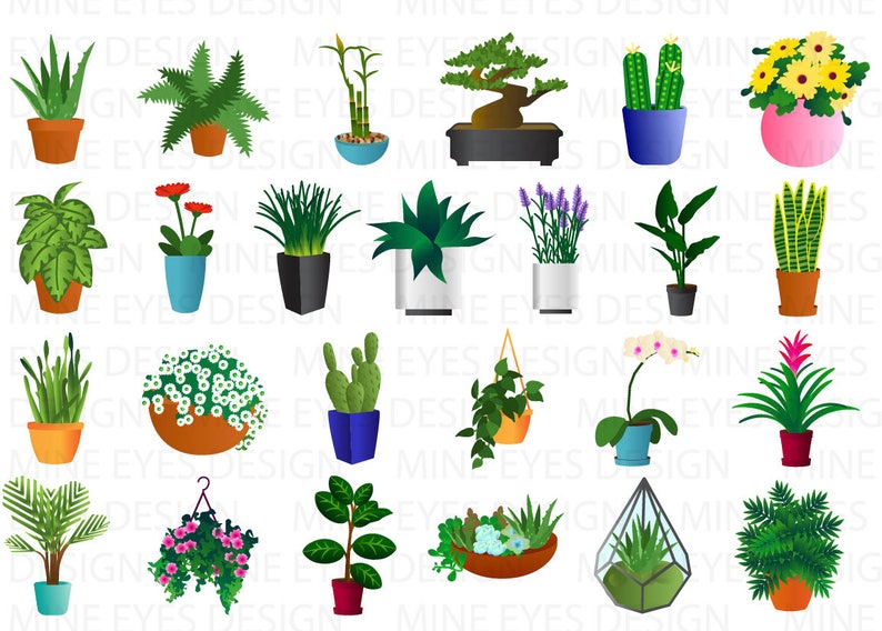Puede incluir: Una colecci&oacute;n de varias plantas en macetas, incluyendo aloe vera, helechos, cactus y plantas con flores. Las plantas est&aacute;n en macetas de diferentes formas, tama&ntilde;os y colores, como terracota, azul y negro. La imagen tiene el texto "MINE EYES DESIGN".