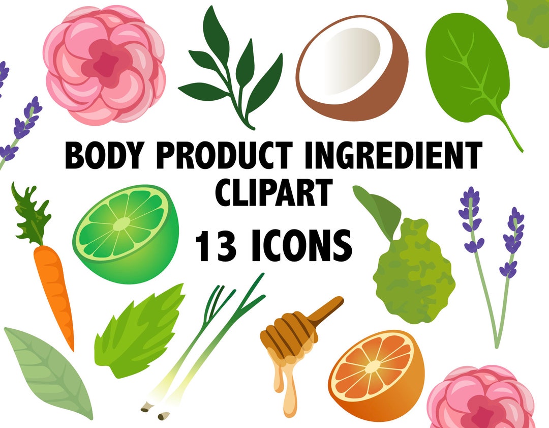 BODY PRODUCT INGREDIENTS Clipart Organic Ingredients Icons Etsy
