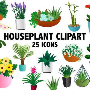 Puede incluir: Una colecci&oacute;n de 25 iconos de im&aacute;genes predise&ntilde;adas de plantas de interior. Las ilustraciones presentan varias plantas en macetas, incluyendo orqu&iacute;deas, suculentas y bamb&uacute;, en una variedad de macetas y recipientes. El texto "HOUSEPLANT CLIPART 25 ICONS" se muestra en el centro.