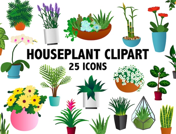 HOUSEPLANT CLIPART succulents flowers hanging plants for indoor gardens and house plants