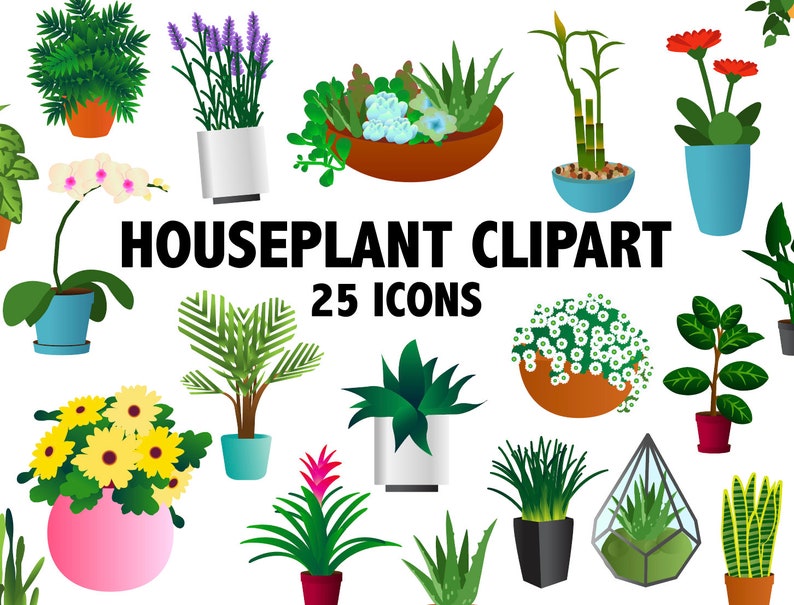 Puede incluir: Una colecci&oacute;n de 25 iconos de im&aacute;genes predise&ntilde;adas de plantas de interior. Las ilustraciones presentan varias plantas en macetas, incluyendo orqu&iacute;deas, suculentas y bamb&uacute;, en una variedad de macetas y recipientes. El texto "HOUSEPLANT CLIPART 25 ICONS" se muestra en el centro.