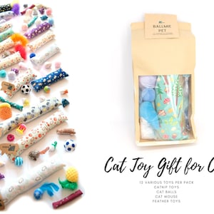 May include: A brown paper bag with a clear window showing a variety of cat toys. The bag is labelled "Ballmie Pet" and the text "Cat Toy Gift for Cat" is written below the image. The text "12 Various Toys Per Pack" is written below the label. The text "Catnip Toys, Cat Balls, Cat Mouse, Feather Toys" is written below the text "12 Various Toys Per Pack".
