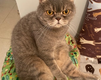 Personalized Cat Bed Mat: Washable Fleece, Natural Cotton