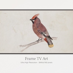 Samsung Frame TV Art | Vintage Rustic Winter Bird Cardinal Watercolor | Digital Download