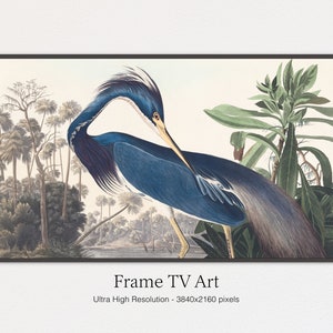 4K Samsung Cadre TV Art | Héron bleu | Samsung TV Art vintage | Téléchargement numérique | Art pour Samsung Cadre TV