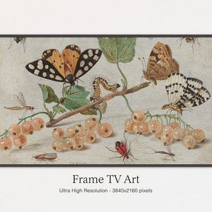 Samsung Frame TV Art | Classic Botanical Painting | Frame for TV |  Digital Download