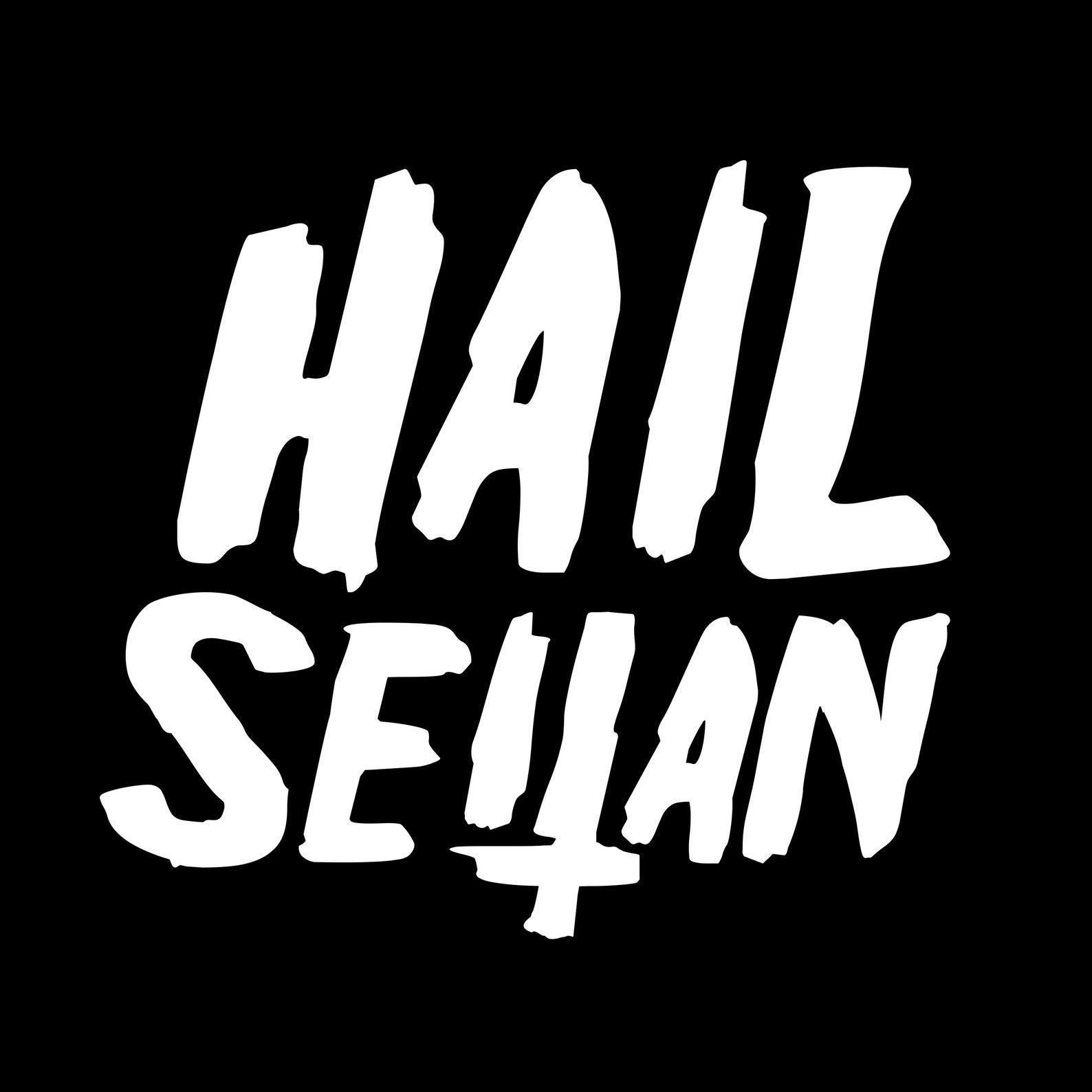 Hail Seitan Vegan Ringer TShirt vegan clothing vegan t shirt Etsy
