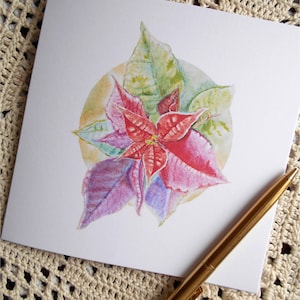 Carte de Noël poinsettia, carte carrée vierge, lot de 4, cartes 5 x 7, personnalisées, rouge et vert, impression numérique, oeuvre d'art dessinée à la main, oeuvre d'art ronde