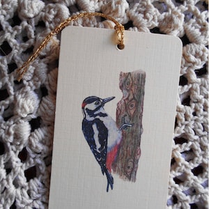 Woodpecker Gift Tags: Handdrawn Bird Stationery, Pack of 8