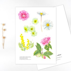 Fleurs du jardin | Impression aquarelle | carterie - déco - papeterie