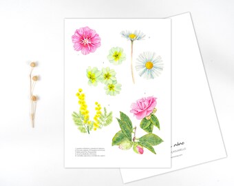 Tuinbloemen | Aquarelprint | kaarten - decoratie - briefpapier