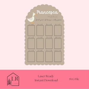 Silly Goose First Year Photo Board SVG – Arquivo de corte a laser para exibição de marcos do bebê